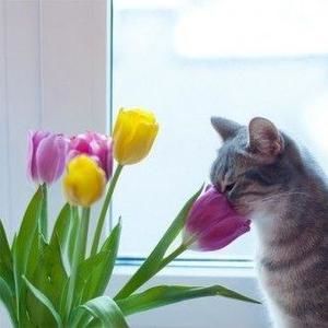 Meet your Posher, Dani